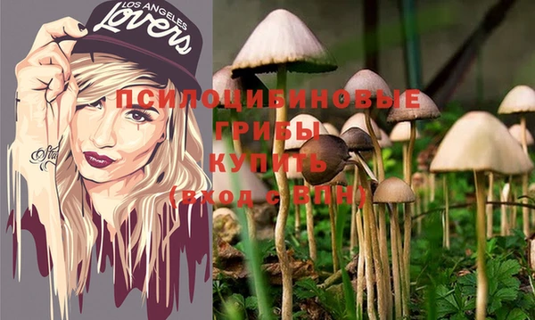 дживик Арсеньев