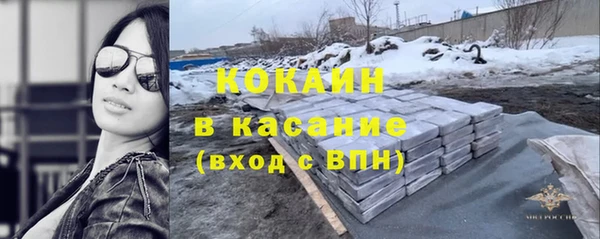 дживик Арсеньев