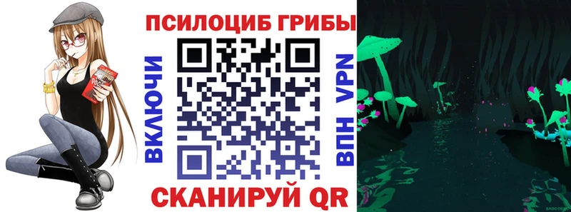 Галлюциногенные грибы Psilocybe  Строитель 