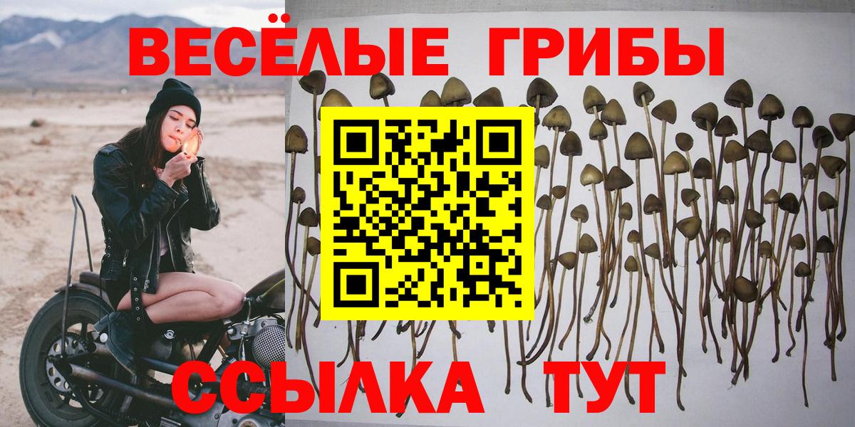 Меф   МАРИХУАНА  Строитель  Героин  Кокаин  Вход с VPN  Гашиш  Бошки Шишки 
