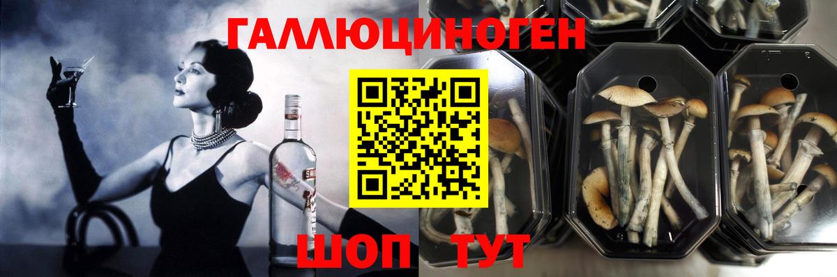 Псилоцибиновые грибы ЛСД  Псилоцибиновые грибы прущие грибы  Строитель  Вход с VPN 